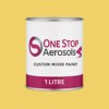 British Standard 5252 10 E 50 Paint Liter Tin