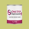 British Standard 5252 12 D 41 Paint Litre Tin