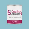 British Standard 5252 18 D 41 Aerosol Spray Paint - 1 litre tin