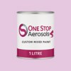 British Standard 5252 24 E 50 Paint Litre Tin
