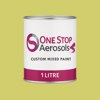 Master Chroma CG6113 - Green 6113 Paint Litre Tin