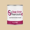 Master Chroma CN8165 - Brown 8165 Paint Litre Tin