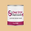 Master Chroma CO2050 - Orange 2050 Paint Litre Tin