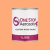 Master Chroma CO2410 - Orange 2410 Paint Litre Tin