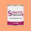 Pantone 1565 Paint Litre Tin