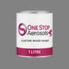 RAL 000 55 00 Paint Litre Tin
