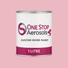 RAL 010 80 20 Paint Litre Tin