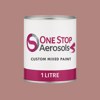 RAL 030 60 20 Paint Litre Tin
