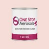 RAL 040 90 10 Paint Litre Tin