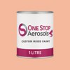 RAL 050 80 30 Paint Litre Tin