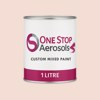 RAL 050 90 10 Paint Litre Tin
