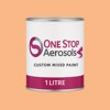 RAL 060 80 40 Paint Litre Tin