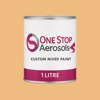 RAL 070 80 40 Paint Litre Tin