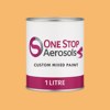 RAL 070 80 50 Paint Litre Tin