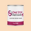 RAL 070 90 20 Paint Litre Tin