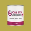RAL 095 70 50 Paint Litre Tin