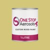 RAL 095 80 40 Paint Litre Tin