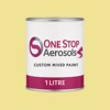 RAL 095 90 40 Paint Litre Tin