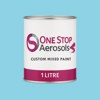 RAL 220 80 25 Paint Litre Tin