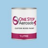 RAL 240 80 20 Paint Litre Tin