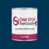RAL 250 20 25 Paint Litre Tin