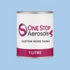 RAL 250 80 20 Paint Litre Tin