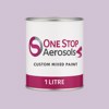 RAL 320 80 10 Paint Litre Tin