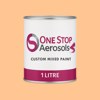 NCS S 0530-Y40R Paint Litre Tin