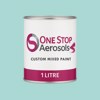 NCS S 1020-B60G Paint Litre Tin