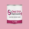 NCS S 1030-R20B Paint Litre Tin