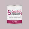 NCS S 2005-R20B Paint Litre Tin