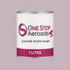 NCS S 2010-R30B Paint Litre Tin