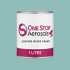 NCS S 2020-B60G Paint Litre Tin