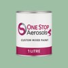 NCS S 2020-G10Y Paint Litre Tin