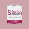 NCS S 2020-R10B Paint Litre Tin