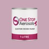 NCS S 2020-R30B Paint Litre Tin