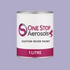 NCS S 2020-R60B Paint Litre Tin