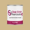 NCS S 2020-Y10R Paint Litre Tin